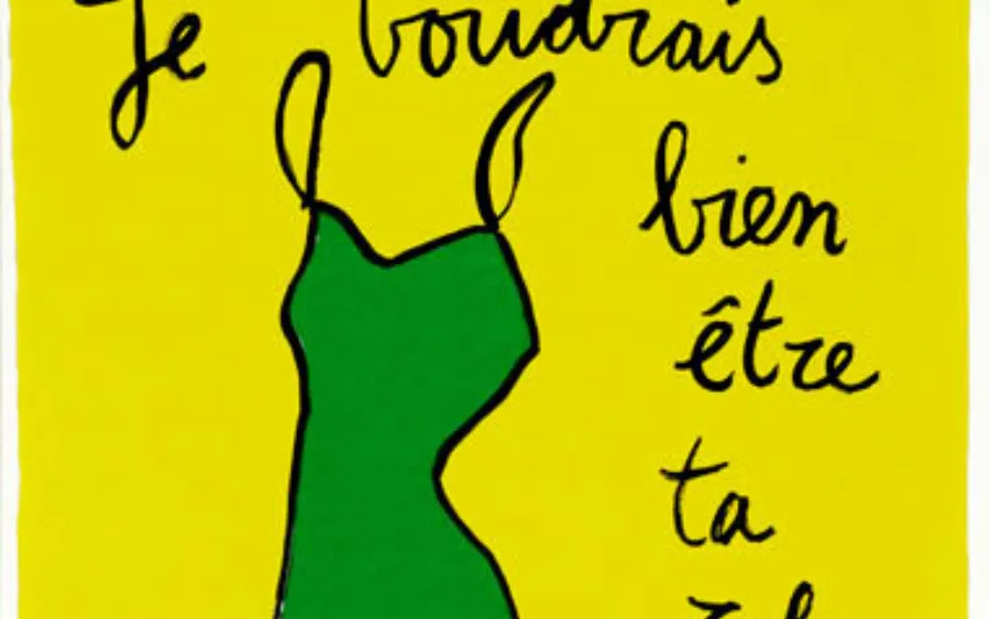 Je voudrais bien être ta robe